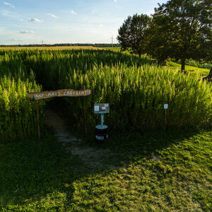 Eingang zum Hanf-Mais-Labyrinth